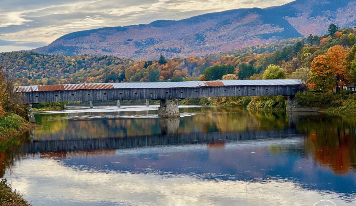 14 Historic Bridges That Are Engineering Marvels 8