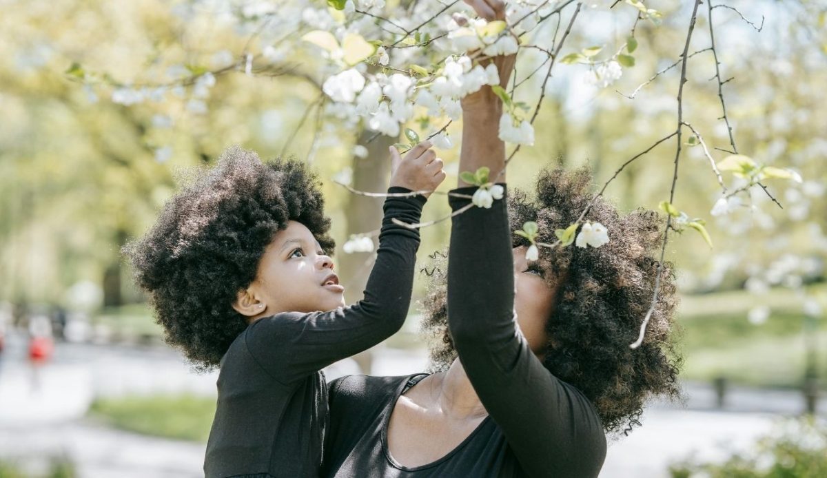 9 Things You Can’t Legally Do in U.S. National Parks 2 9 Things You Can’t Legally Do in U.S. National Parks 2