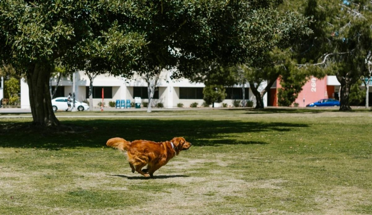 9 Things You Can’t Legally Do in U.S. National Parks 5 9 Things You Can’t Legally Do in U.S. National Parks 5