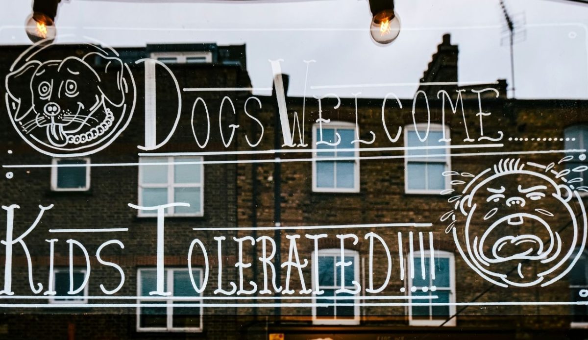 Choose Accommodations That Welcome Pets Properly