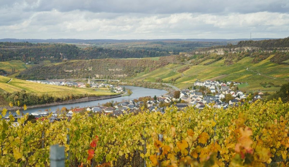 10 Tiny Countries Worth Adding To Your Travel Bucket List 6 Luxembourg