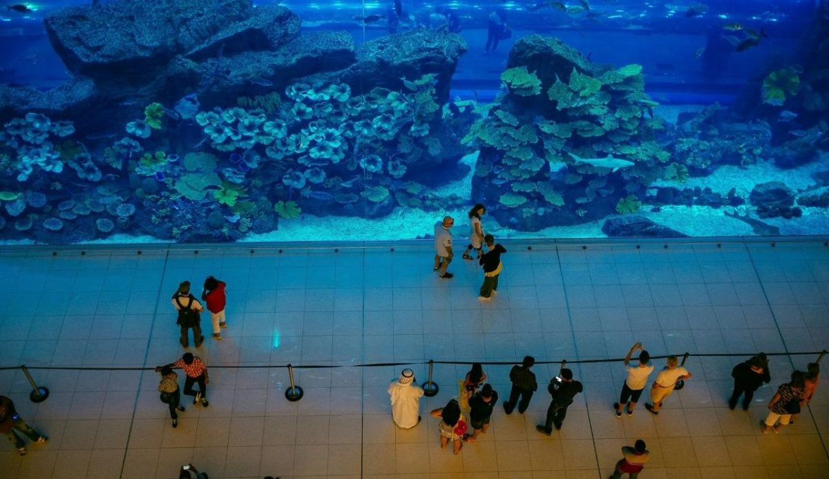 Only Staying in Malls 