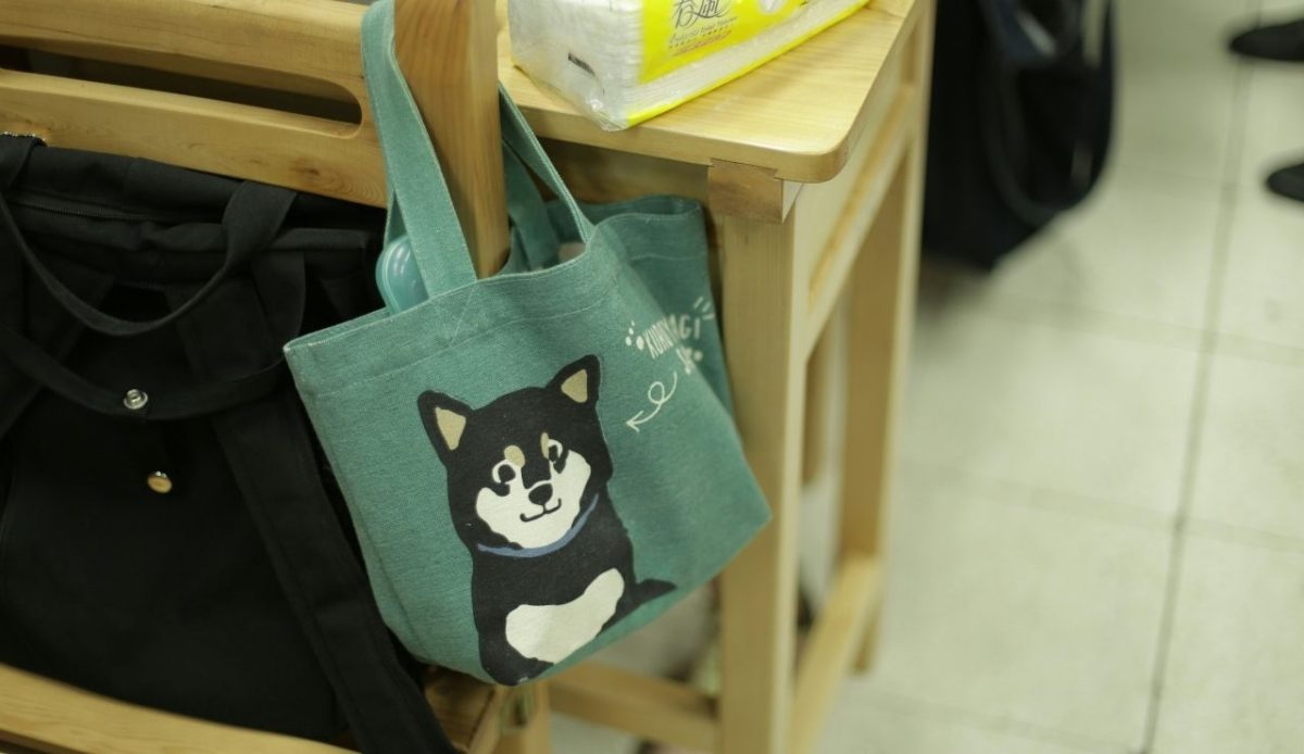 Pack a Dedicated Travel Bag for Your Pet