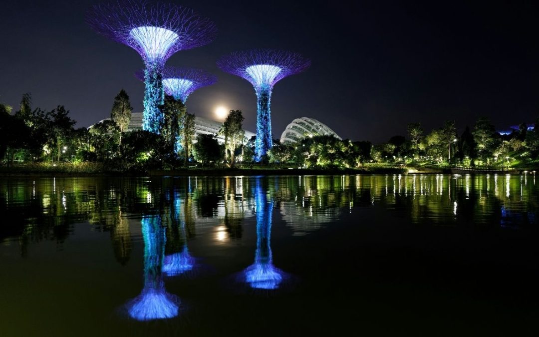 12 Vibrant Cities Around The World That Truly Come Alive At Night