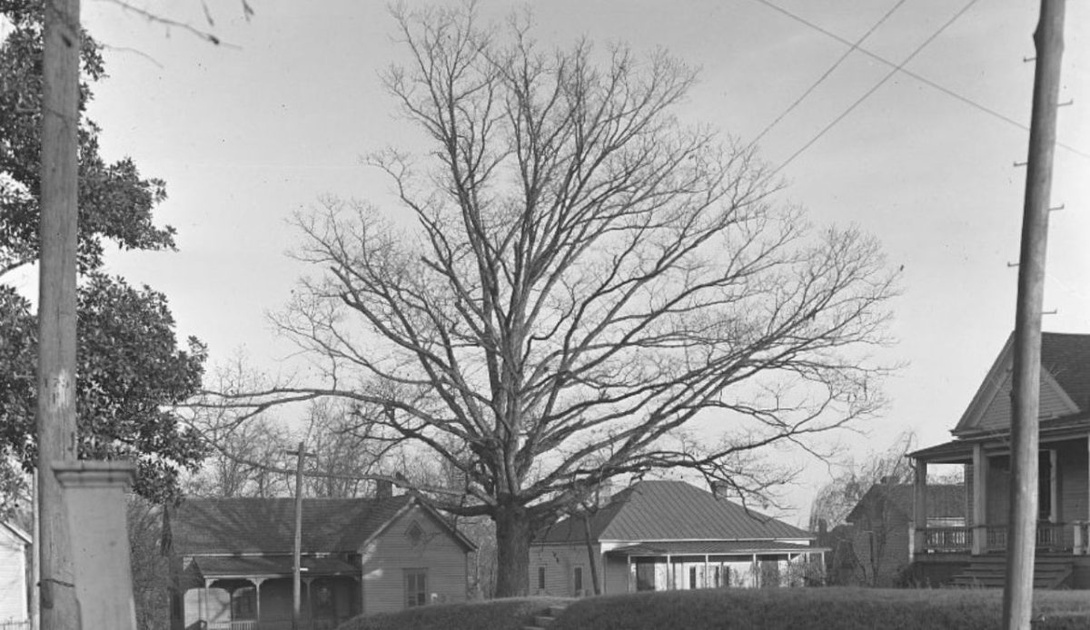 10 Offbeat Monuments With Surprising Stories 7