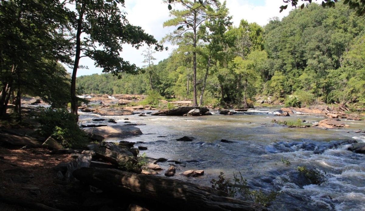 12 American Plantations That Preserve Complicated History 5