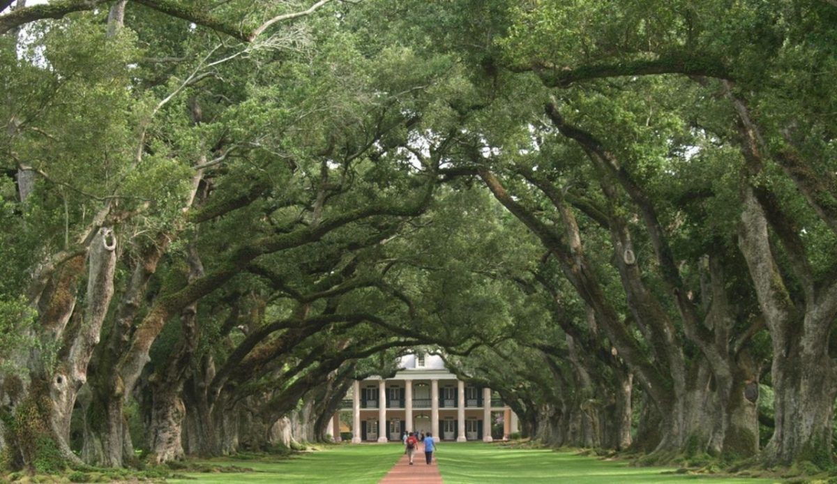 12 American Plantations That Preserve Complicated History 10