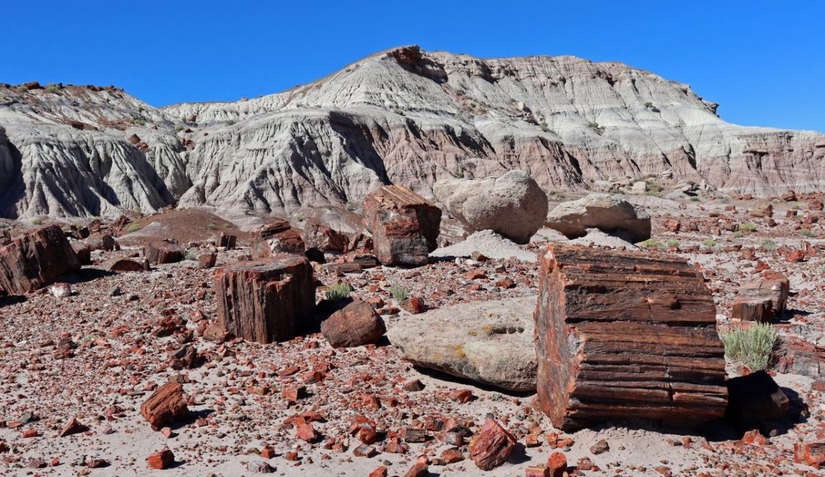 15 Road Trip Stops Along Route 66 You Can’t Miss 11