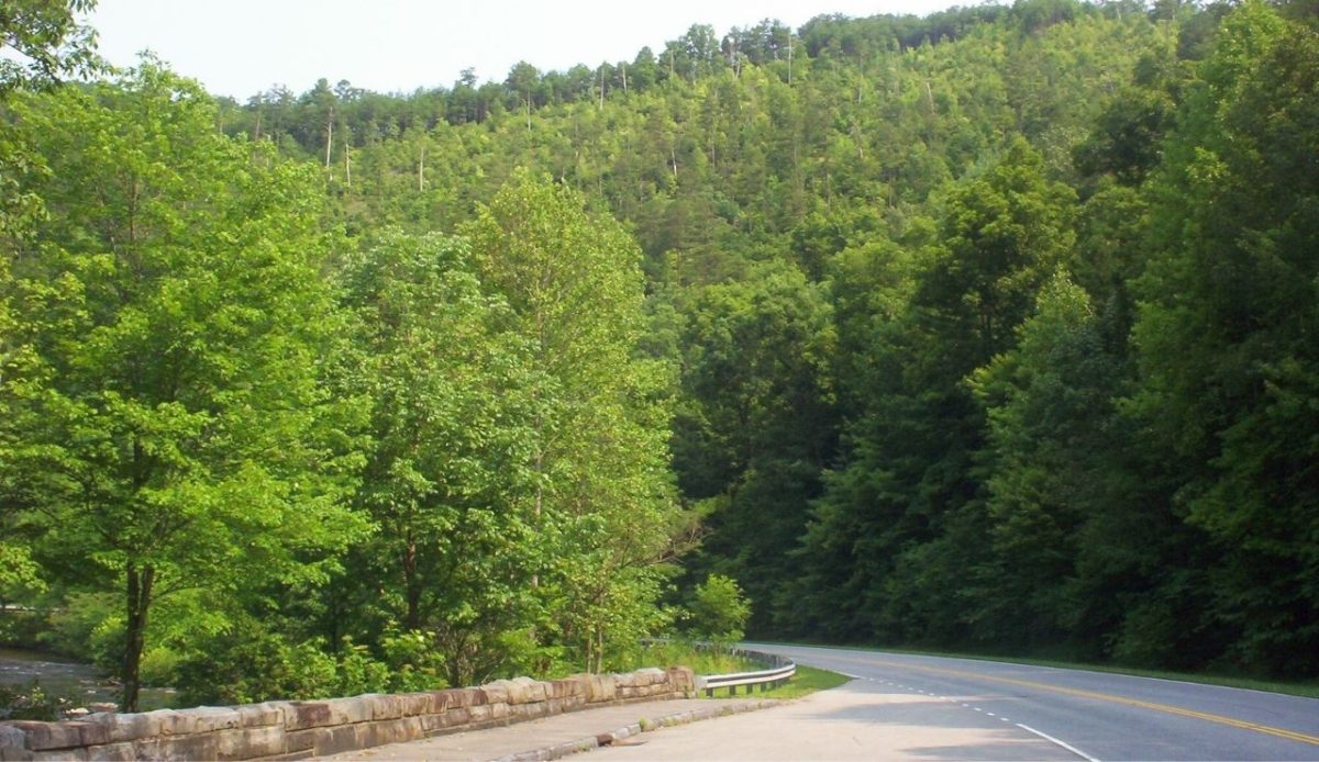 14 Fall Road Trips With Breathtaking Views Across the U.S. 10