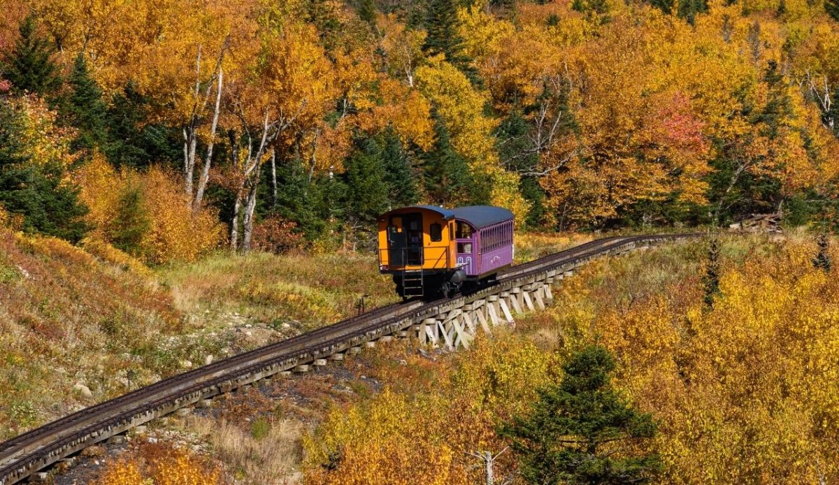 14 Scenic Train Rides in the U.S. for Slow Travel Lovers 9