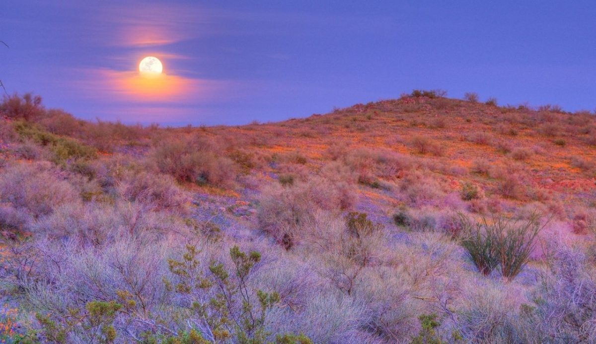 10 Scenic Drives Through Native American Lands 5