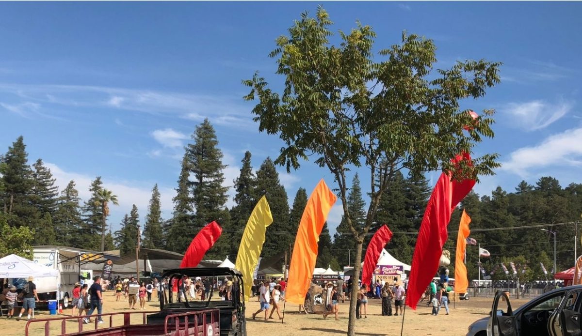 10 Small-Town Festivals Worth the Drive 4 10 Small-Town Festivals Worth the Drive 4