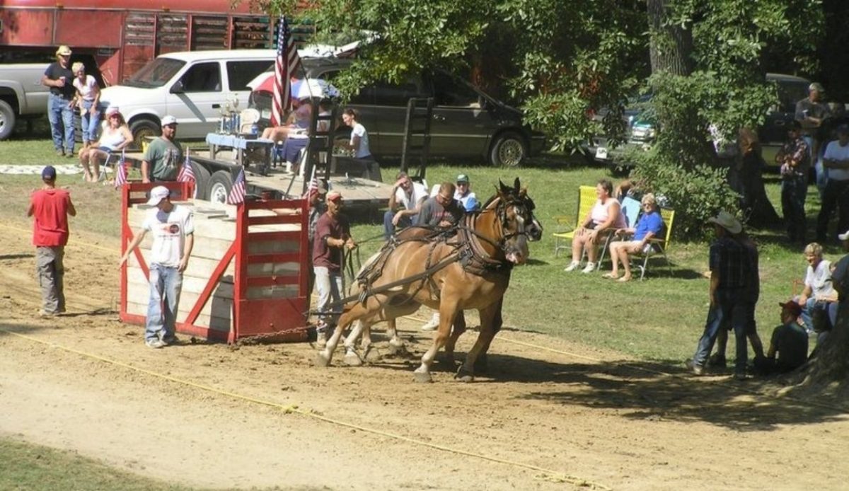 10 Small-Town Festivals Worth the Drive 9 10 Small-Town Festivals Worth the Drive 9