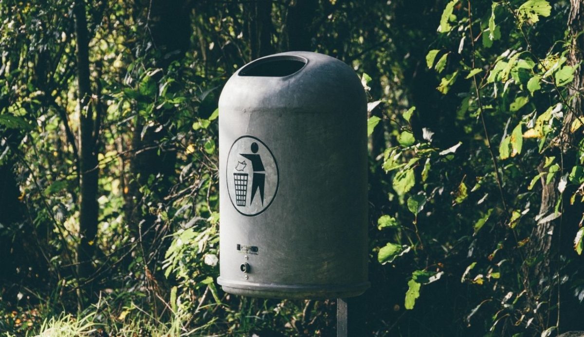 14 Disney Park Secrets Adults Notice but Kids Don’t 12