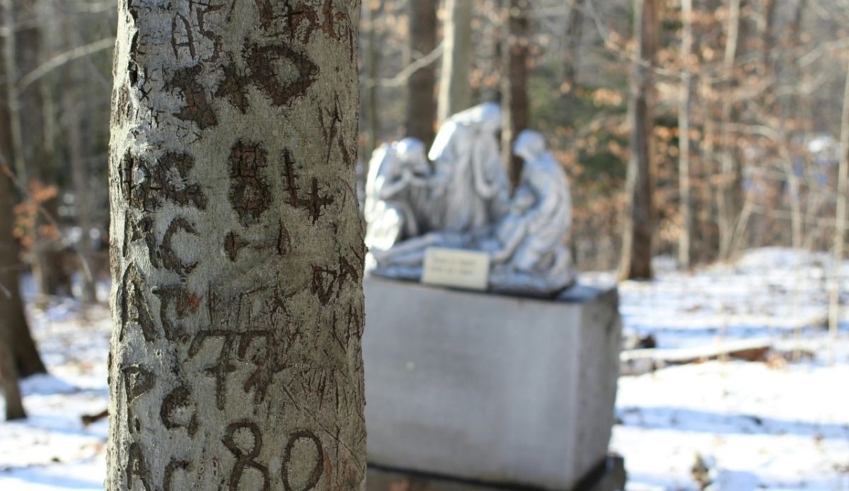 9 Things You Can’t Legally Do in U.S. National Parks 7 9 Things You Can’t Legally Do in U.S. National Parks 7