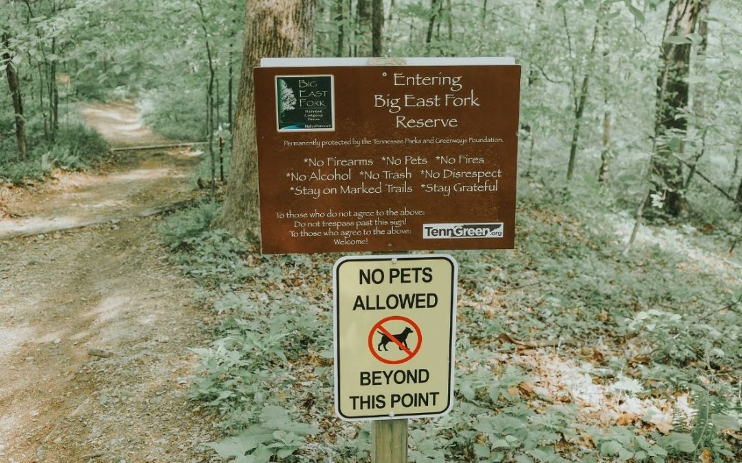 9 Things You Can’t Legally Do in U.S. National Parks
