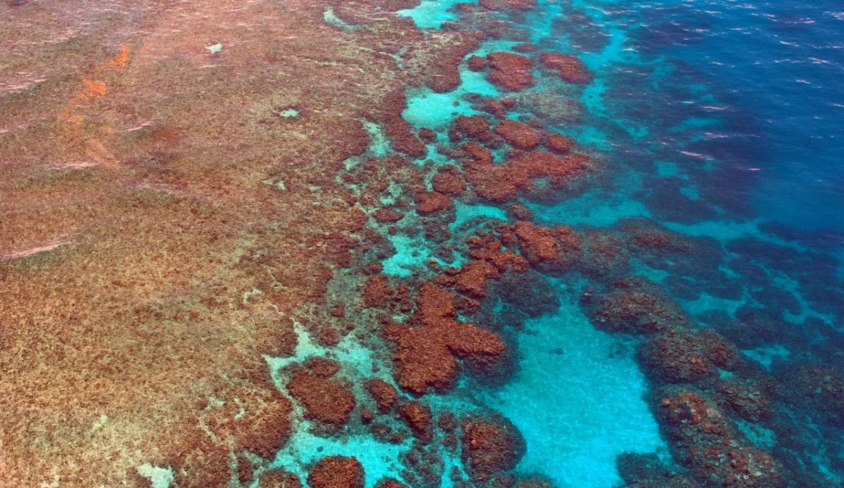 Great Barrier Reef, Queensland
