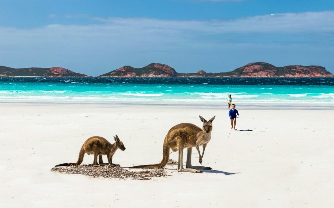 10 Must-See Destinations Every Traveler Should Visit In Australia