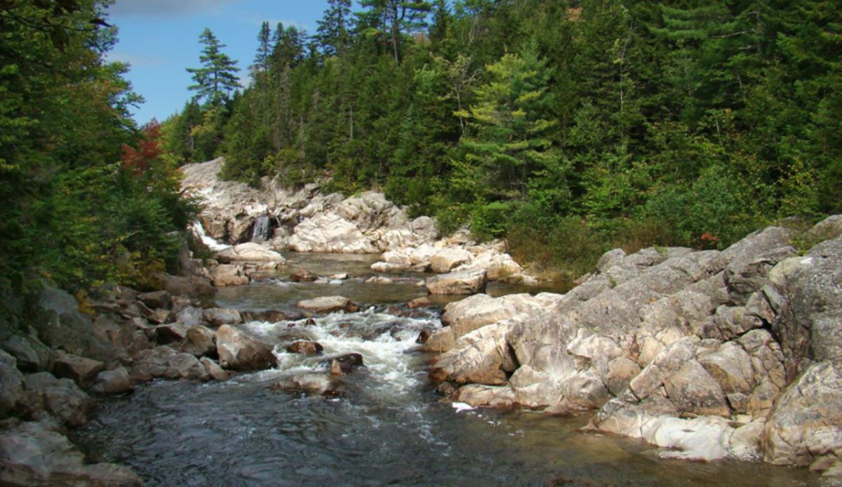 Fundy National Park, New Brunswick