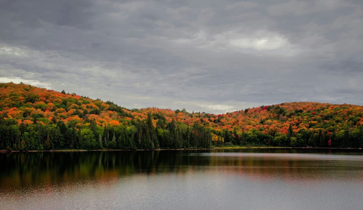 Algonquin Provincial Park, Ontario