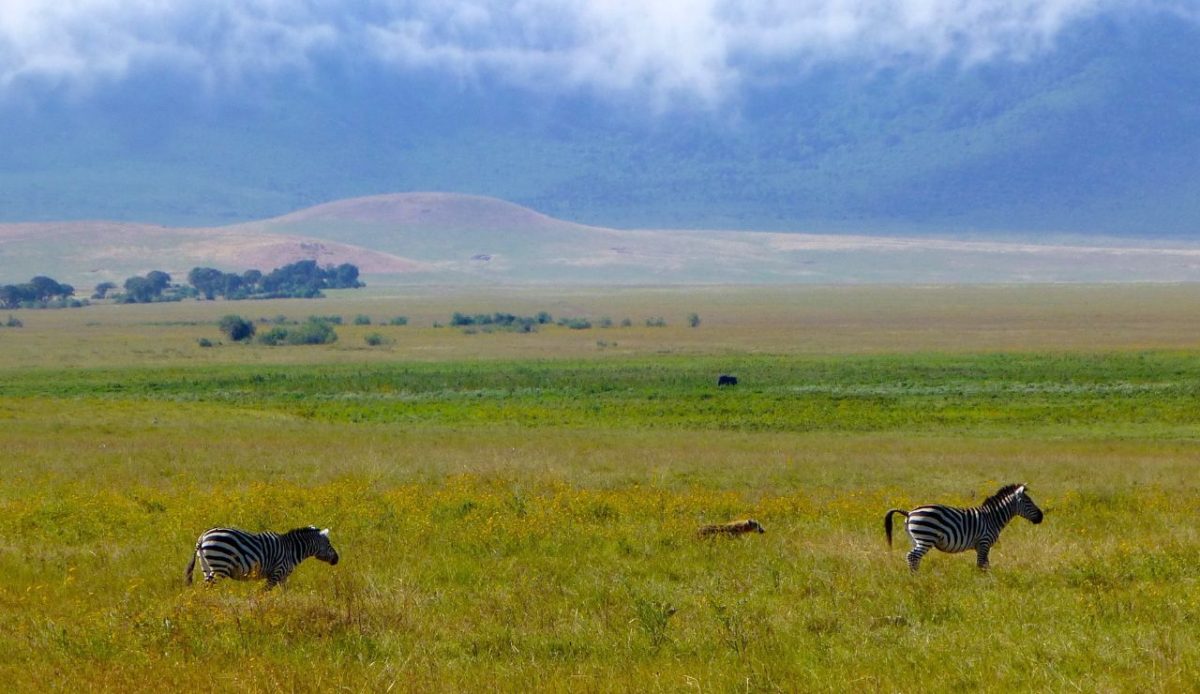 Serengeti National Park, Tanzania