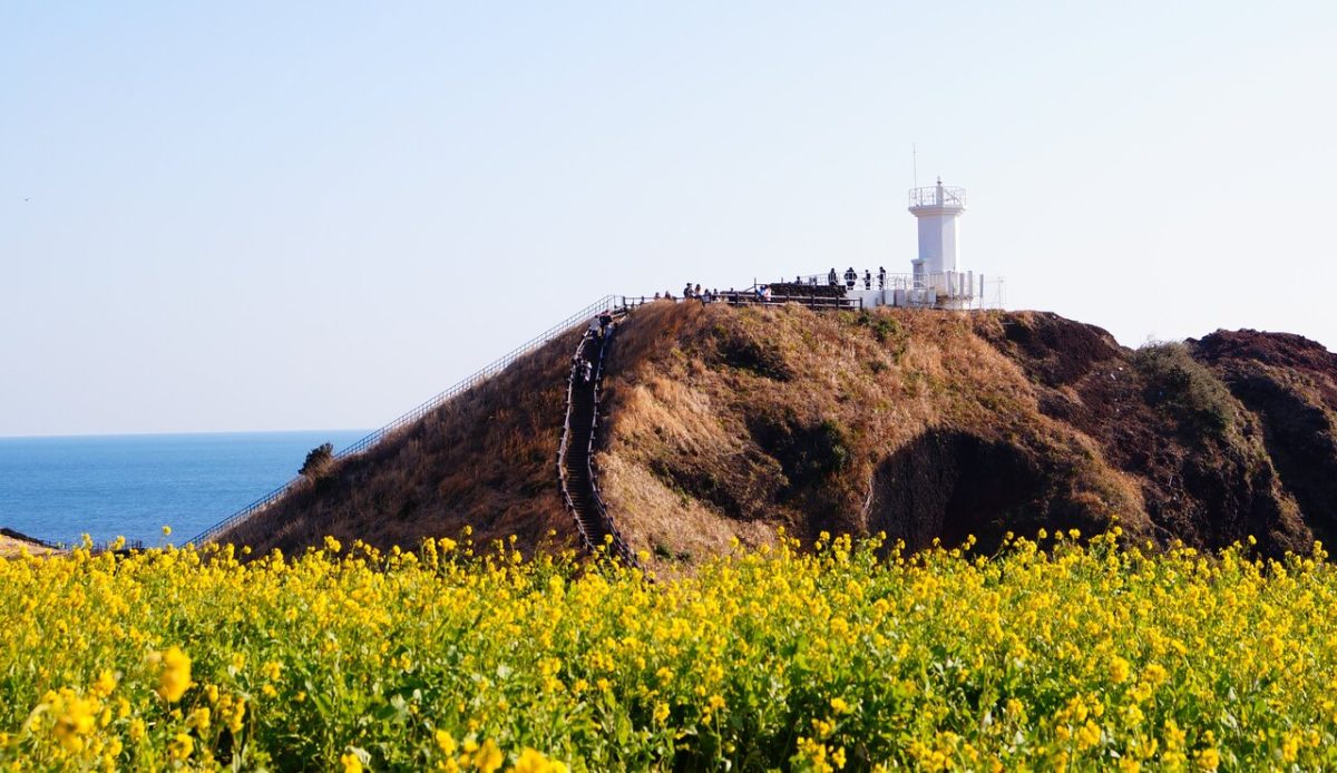 Jeju Island, Jeju