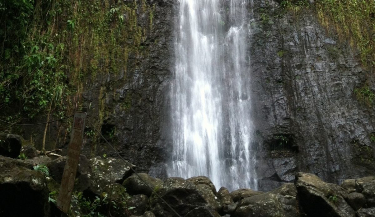 11 Beautiful Waterfalls Across the US Worth Visiting 10 Manoa Falls in Honolulu, Hawaii, surrounded by lush greenery