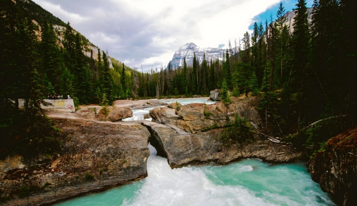 12 Secluded Towns Offer Sweet Escapes in Western Louisiana 8 Pine woods landscape in Sabine Parish near Converse, Louisiana