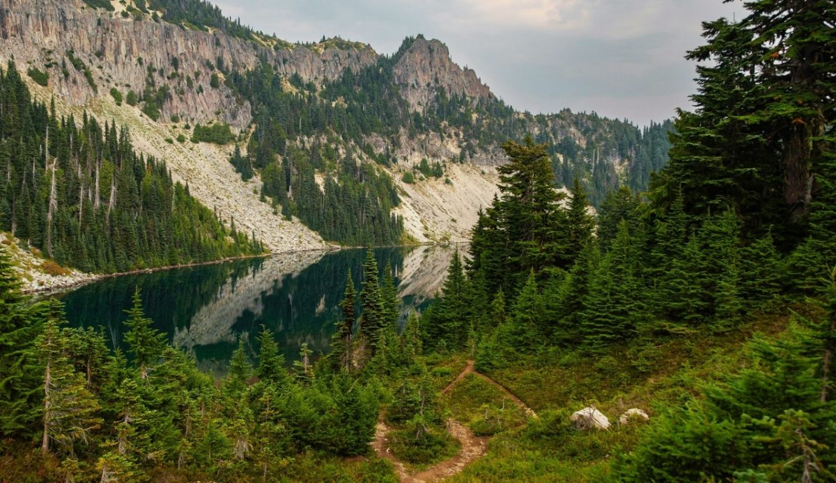 12 Secluded Towns Offer Sweet Escapes in Western Louisiana 9 Kisatchie National Forest pine trail near Provencal Louisiana