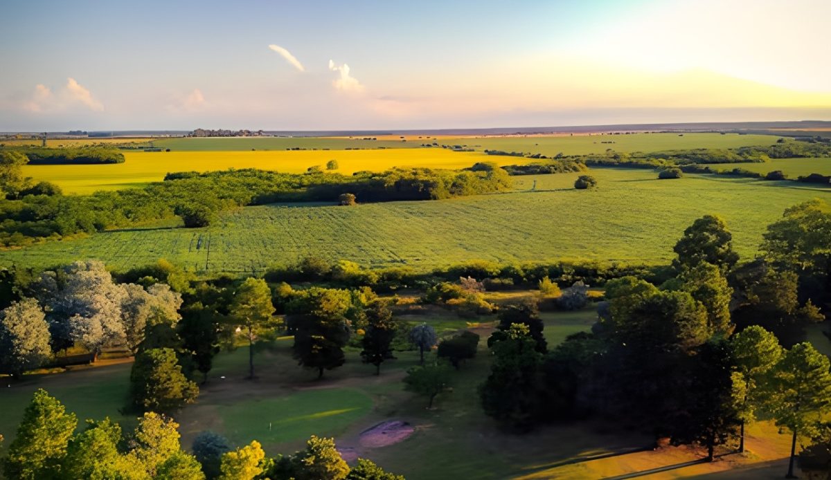 12 Secluded Towns Offer Sweet Escapes in Western Louisiana 10 Longville Louisiana pine forests and farmland countryside view