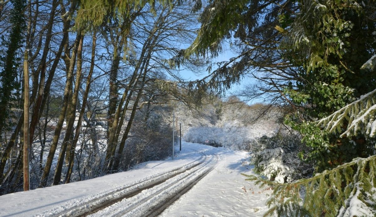 12 Common Mistakes Travelers Make When Visiting National Parks 2 Snow-covered road surrounded by trees with a clear blue sky in the winter