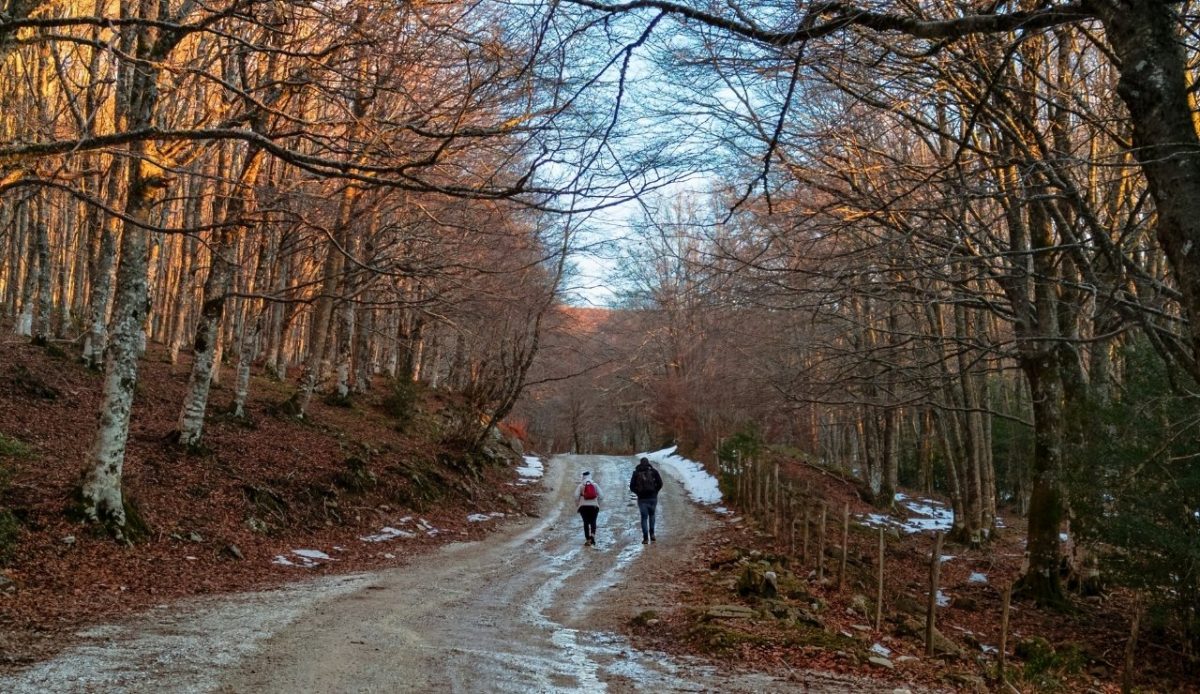 12 Common Mistakes Travelers Make When Visiting National Parks 3 Two people walking down a forest path surrounded by autumn trees and snow