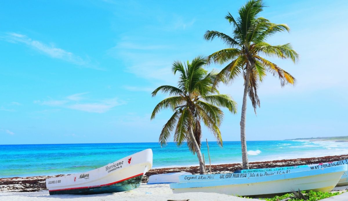 Cozumel, Quintana Roo Boats and palm trees along a beach with turquoise water 