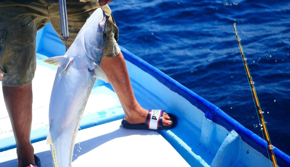 15 Best Things to Do in Isla Mujeres Beyond the Beach 13 Go Fishing with Locals