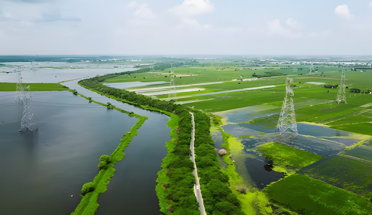 12 Secluded Towns Offer Sweet Escapes in Western Louisiana 4 Grand Chenier coastal town with oak trees in Louisiana