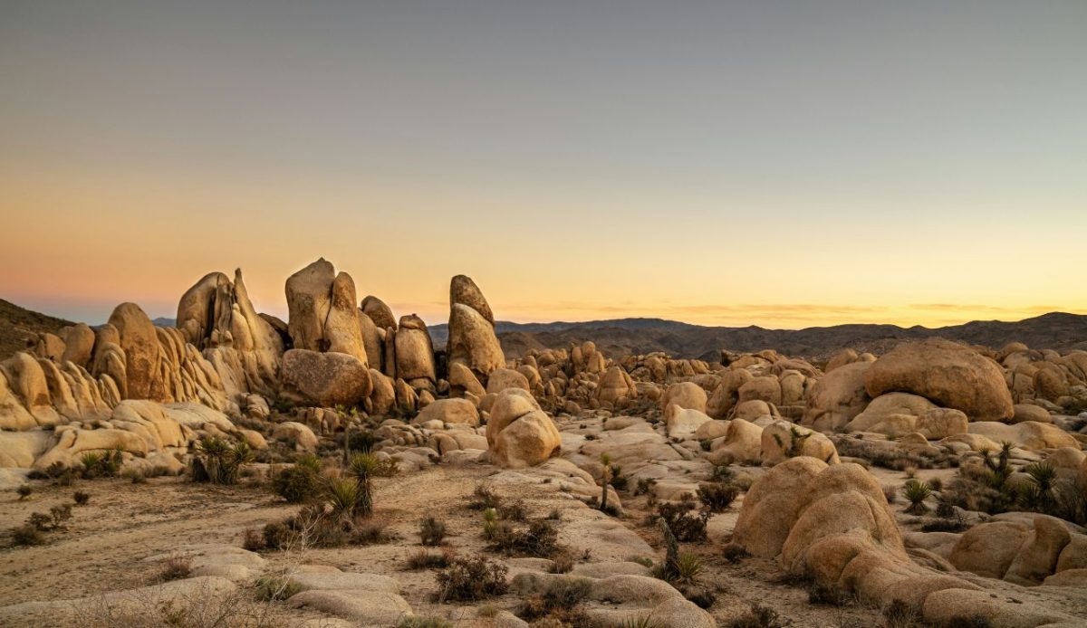 Joshua Tree National Park, California