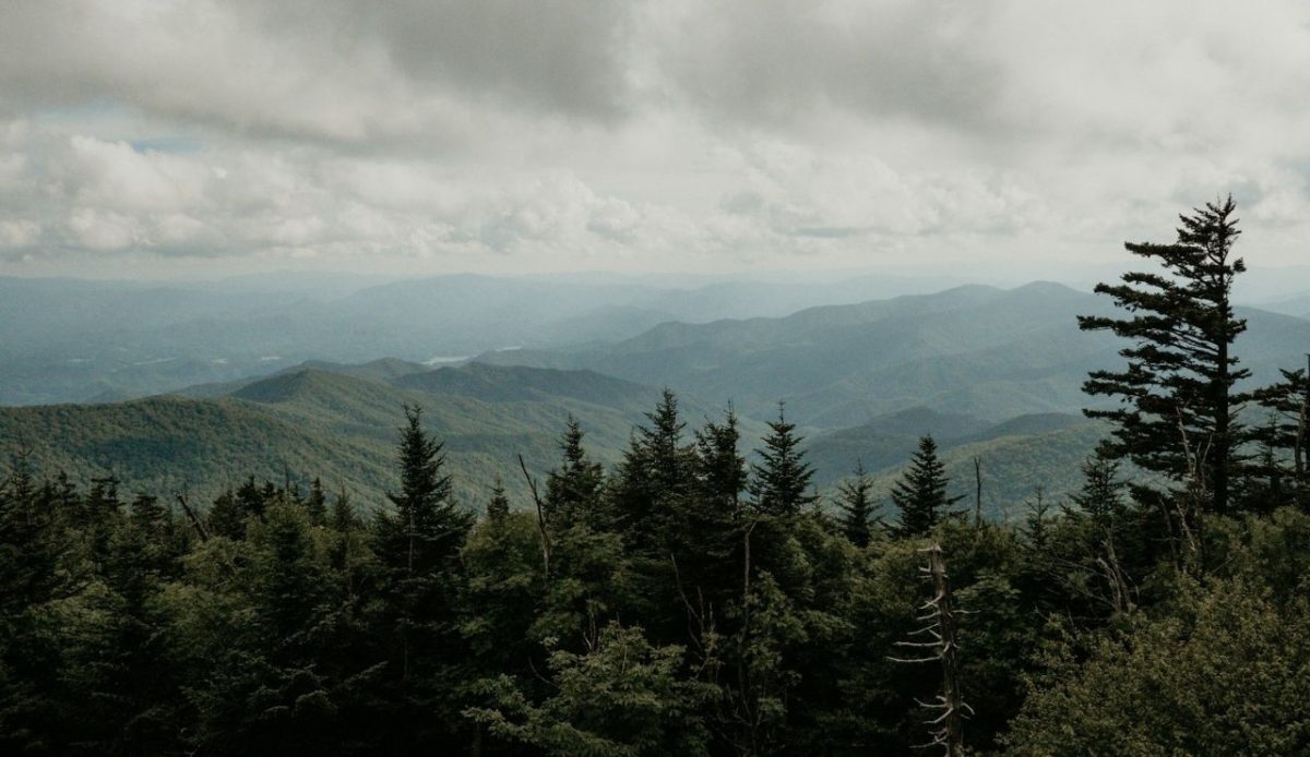 Clingmans Dome, Great Smoky Mountains National Park - Tennessee Clingmans Dome Road, Gatlinburg, TN, USA 