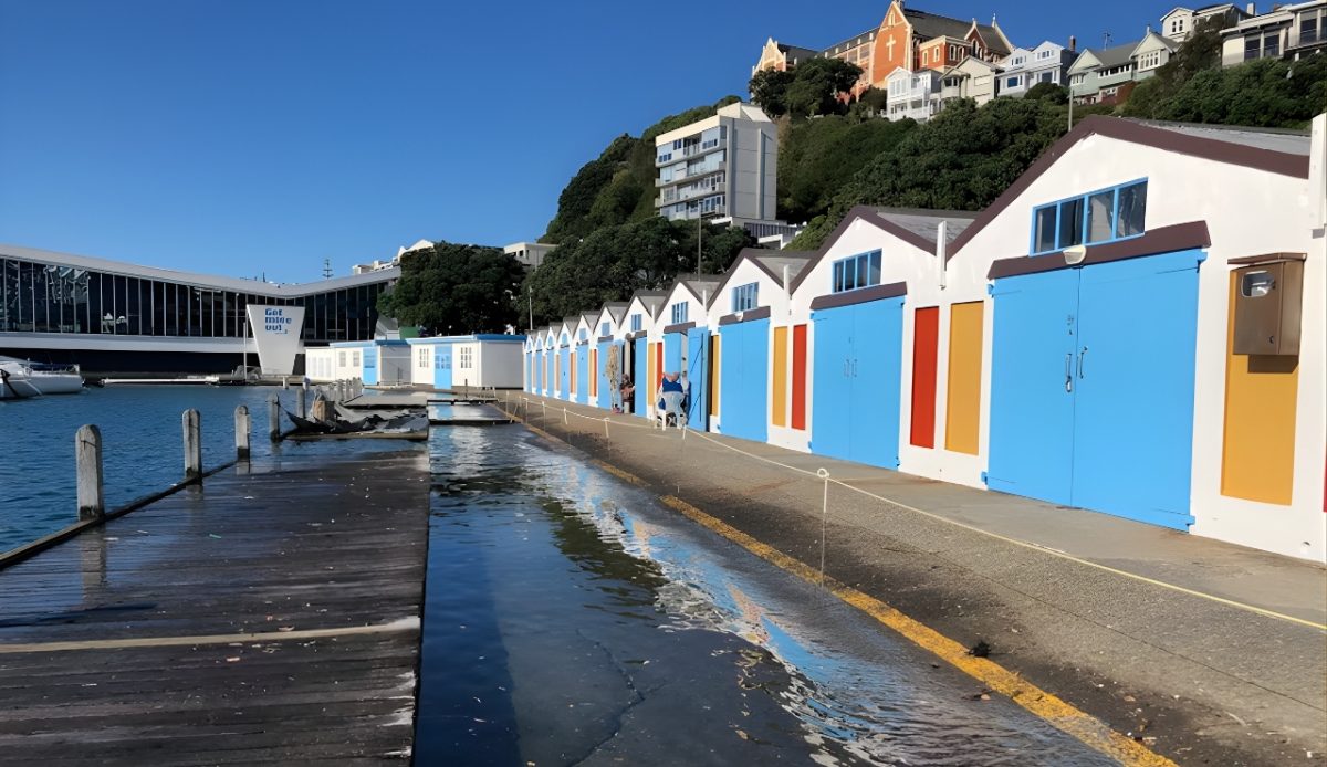 10 Remote Restaurants Around the World Worth the Journey 6 The Boathouse seafood restaurant on Stewart Island, New Zealand