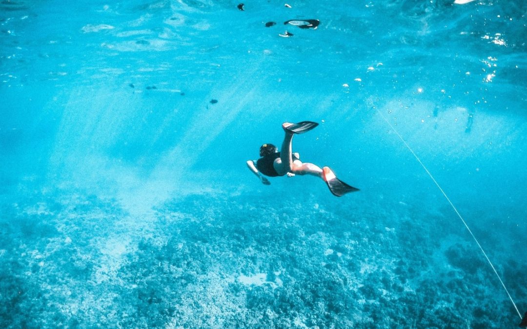 14 Top Snorkeling Beaches Around the World for Underwater Adventure