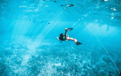 Home 2 14 Top Snorkeling Beaches Around the World for Underwater Adventure