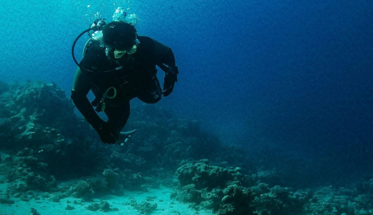 14 Best Airbnb Experiences Around the World Worth Trying 6 A scuba diver swimming near coral formations