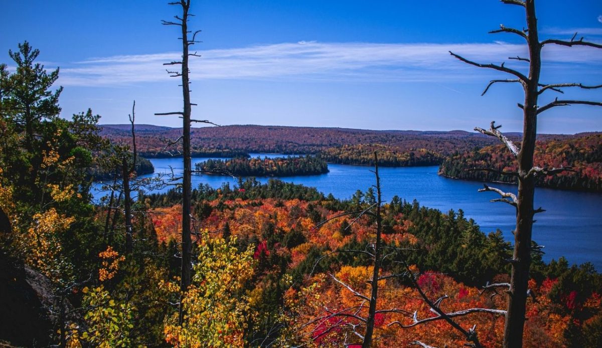 Algonquin Provincial Park, Ontario, Canada