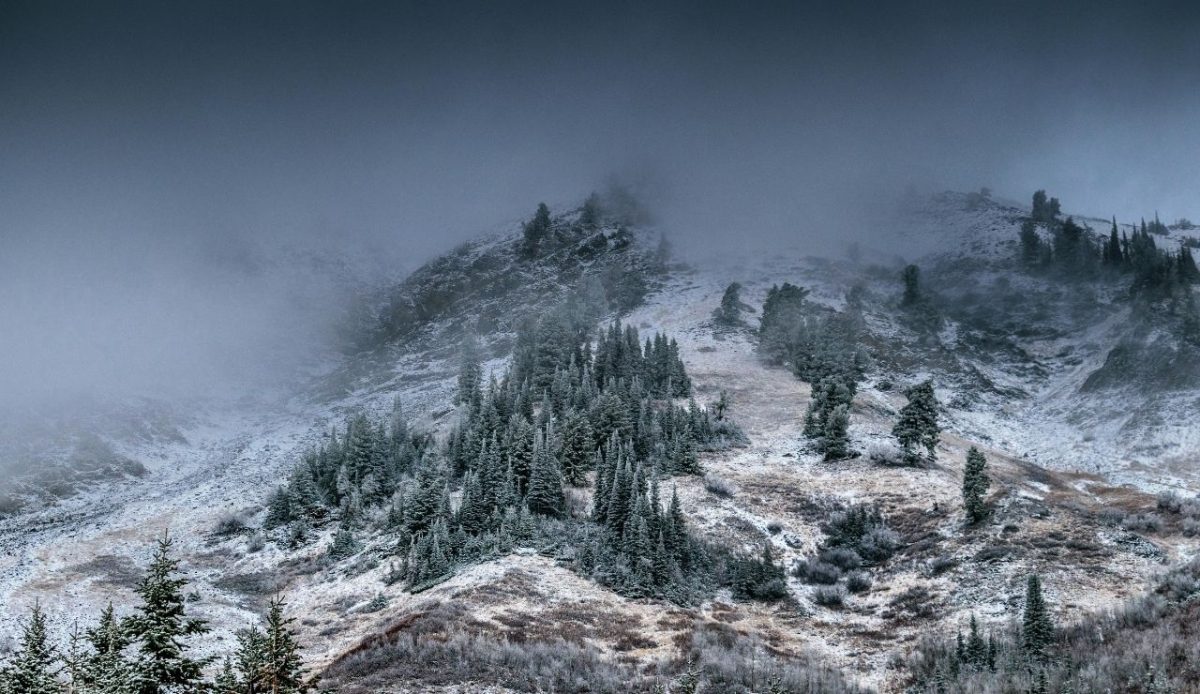 8 Best Ski Destinations Across The U.S. For Winter Adventures 4 Alta Ski Area, Utah