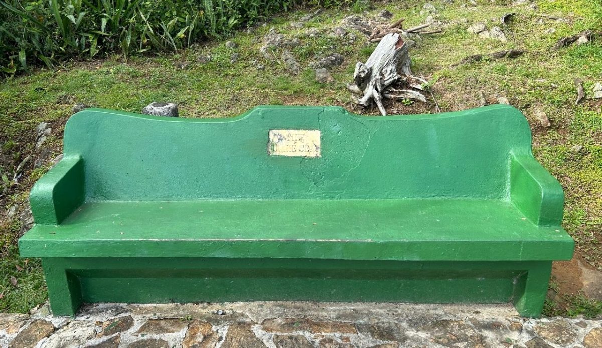 Top Things To Do in St. Thomas, US Virgin Islands 8 An up-close picture of Drake's Seat