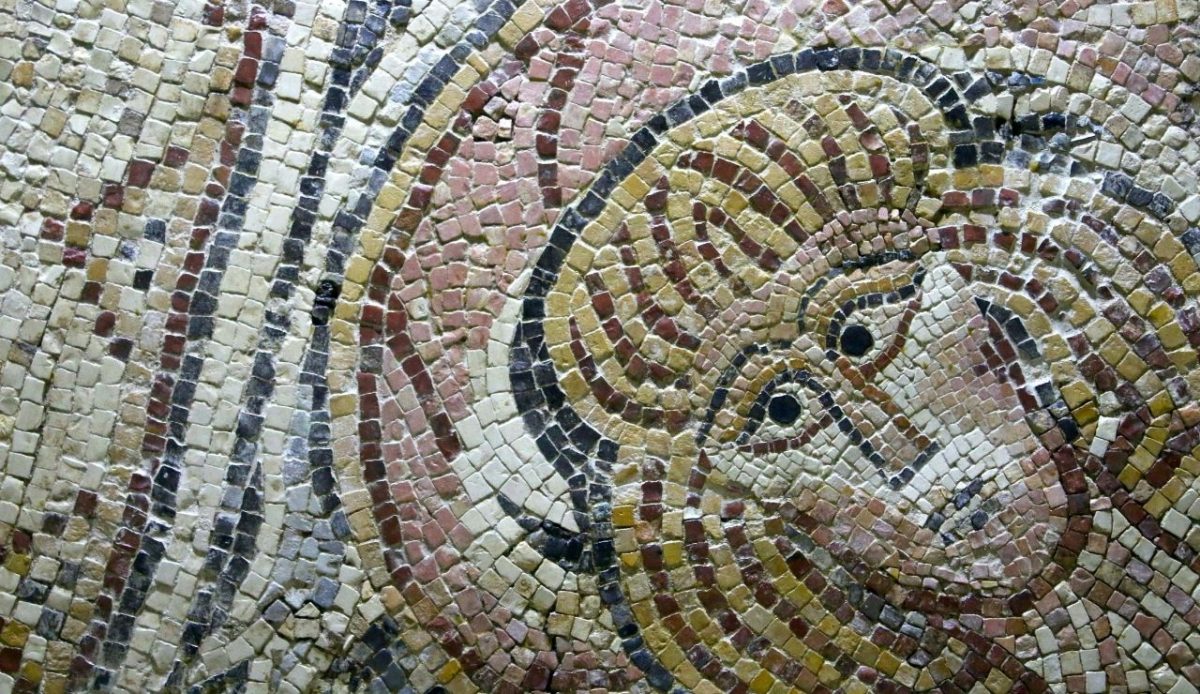 14 Best Airbnb Experiences Around the World Worth Trying 3 Ancient mosaic face detail from Roman ruins in Antioch, Turkey