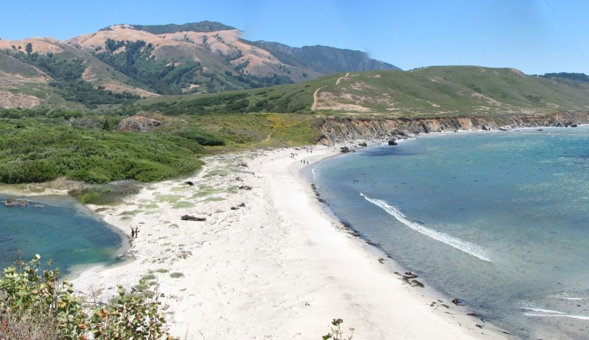 7 Coastal Hikes in the US That Locals Can’t Get Enough Of 7 Andrew Molera State Beach in Big Sur, California, USA