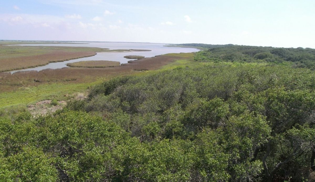 Aransas National Wildlife Refuge, Gulf Coast, Texas, United States
