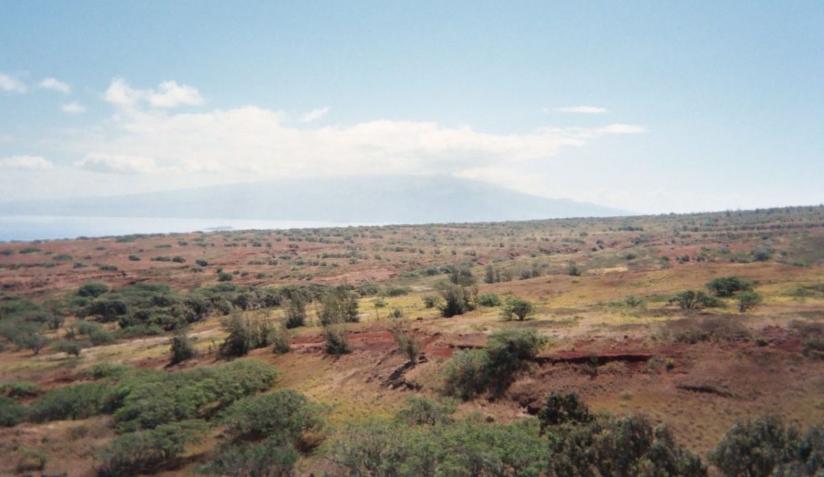 9 Best Hawaiian Islands to Visit for Every Kind of Traveler 6 Arid terrain and sparse vegetation on Kahoʻolawe Island, Hawaii