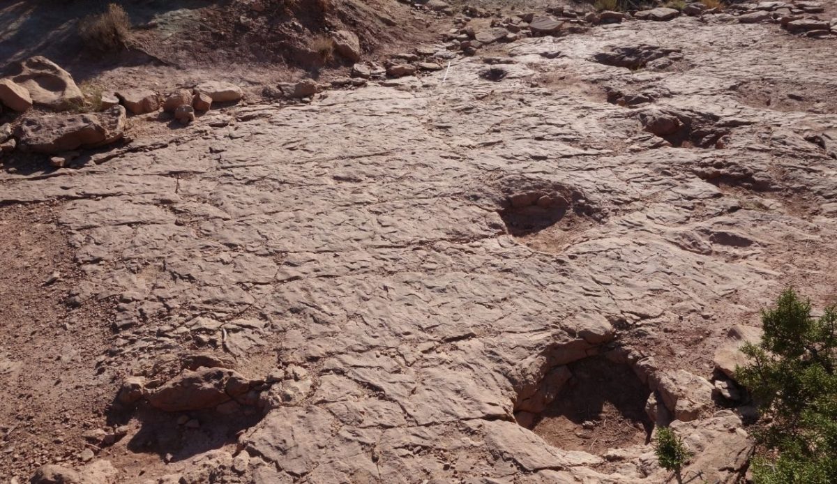 Dinosaur footprints preserved in reddish sandstone at Copper Ridge near Moab, Utah, United States