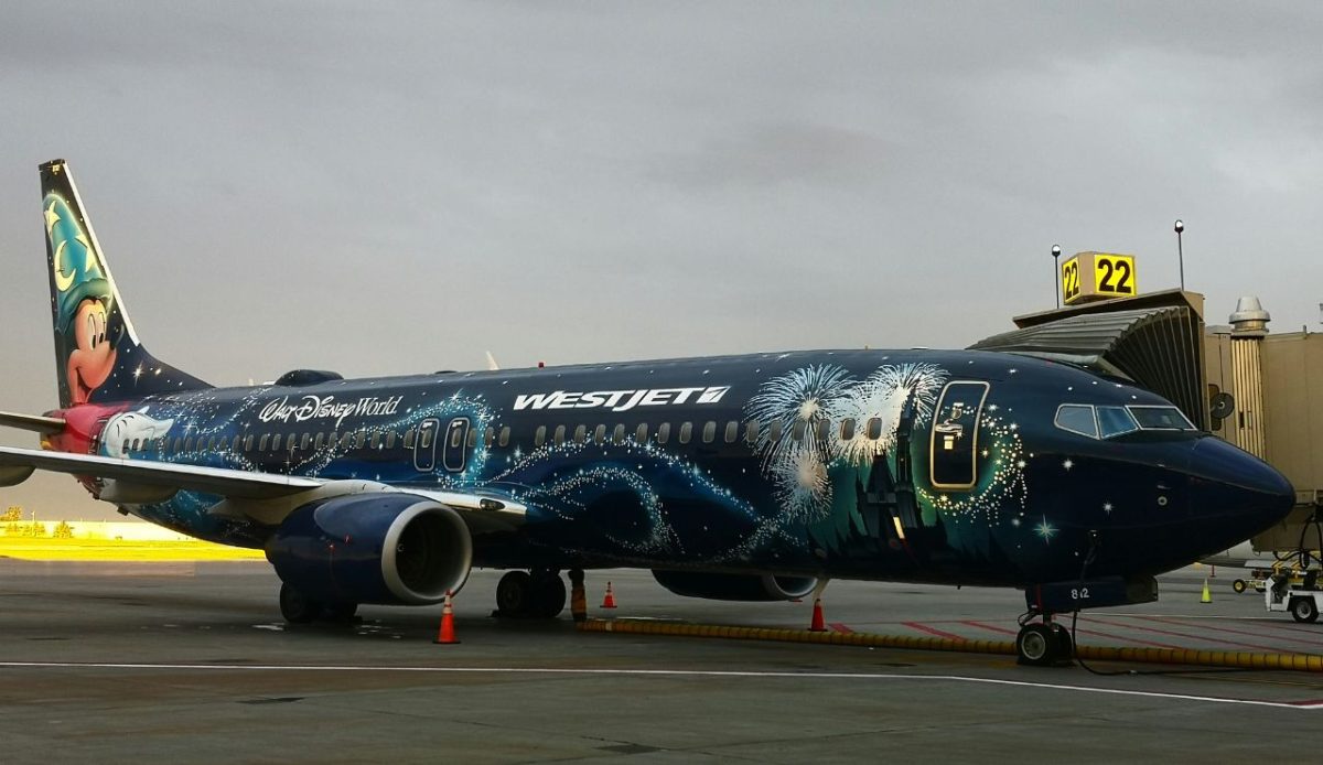 8 Disney Experiences Only the Wealthiest Can Afford 4 Disney private jet tour